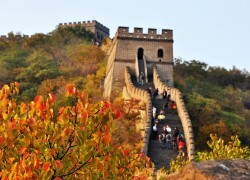 Great Wall Autumn