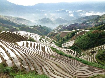 Longji Rice Terraces near Guilin