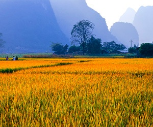 Colorful Autumn Scenery