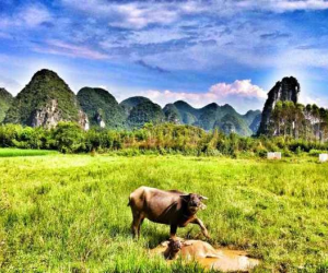 Yangshuo countryside